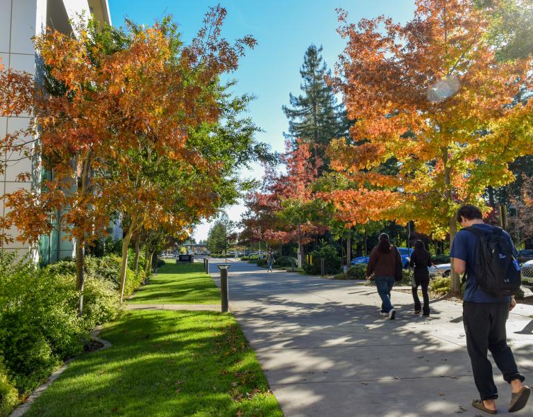fall