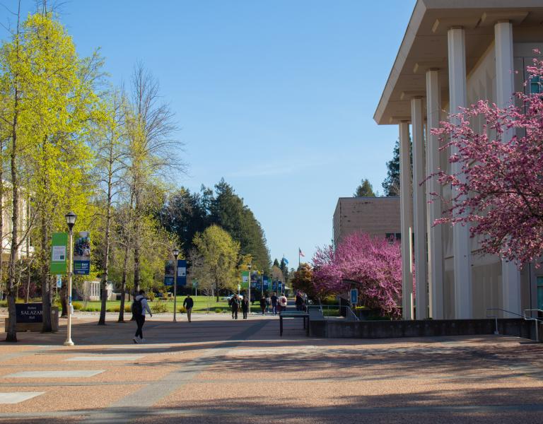 Scenery_Campus_Trees_-20