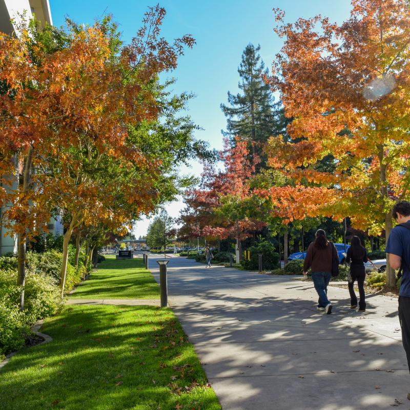 fall